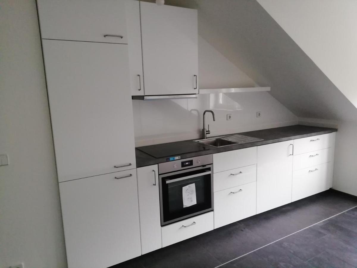 Ferienwohnung Am Stadtpark Кемниц Екстериор снимка