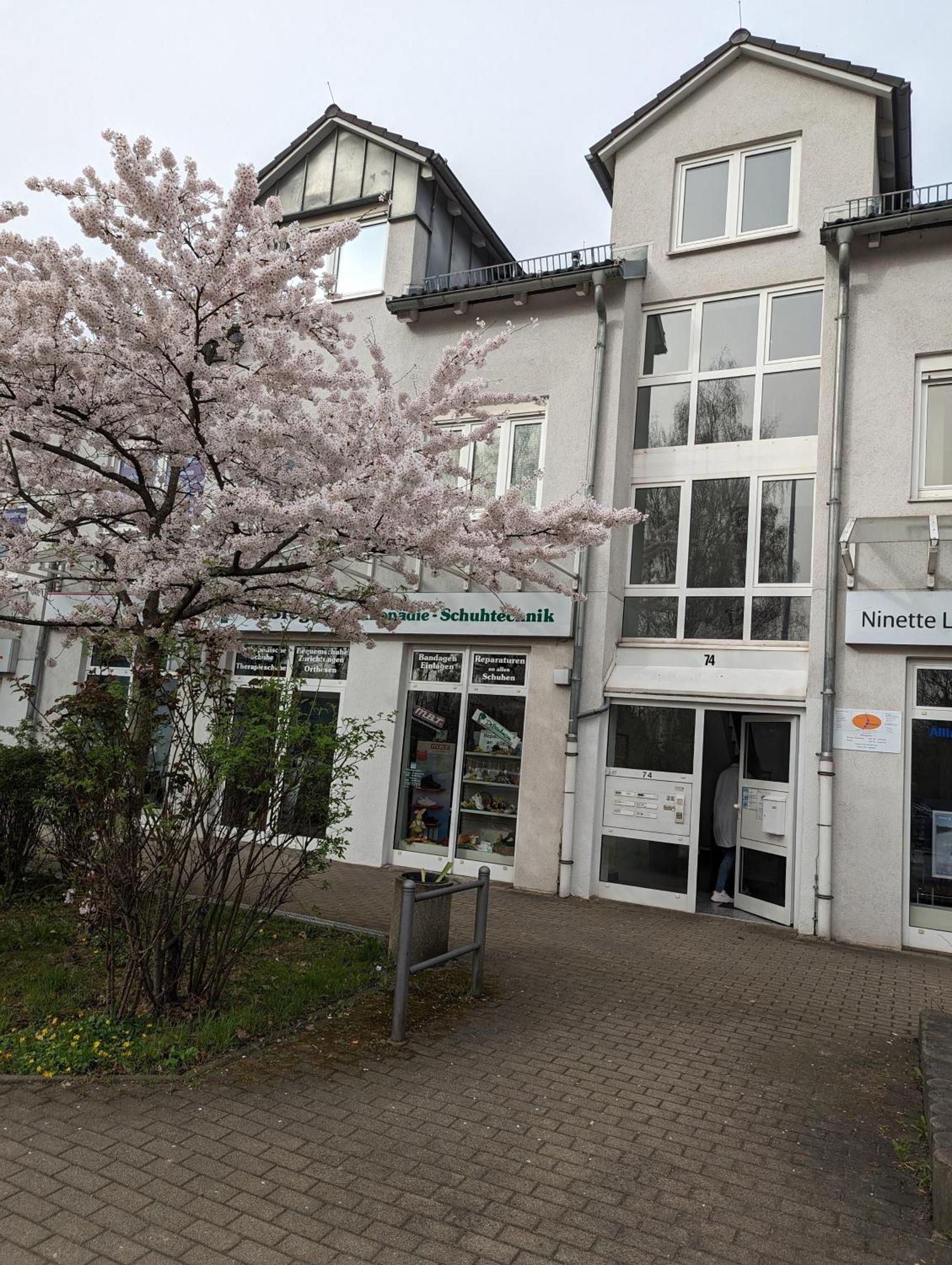 Ferienwohnung Am Stadtpark Кемниц Екстериор снимка